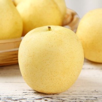 Lê đường nhập khẩu loại 1, giòn, ngọt